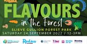 Flavours in the Forest at Slieve Gullion Forest Park