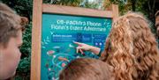 A family reading a sign at the entrance to Fionn's Giant Adventure  at Slieve Gullion Forest Park.