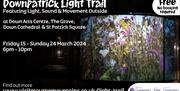 Poster for Downpatrick Light Trail, featuring the art work in St Patrick Square, entitled 'night garden'.