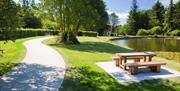 Picnic benches and walking trails at Silent Valley Mountain Park, Kilkeel