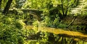 Mourne Park image of water surrounded by lush greenery and bridge