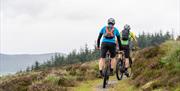 Electric Mountain Biking Rostrevor Mountain Bike Trails