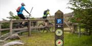 Electric Mountain Biking Rostrevor Mountain Bike Trails