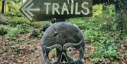 Skull Trails