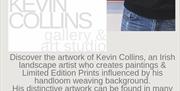 Kevin Collins Biography artist and weaver