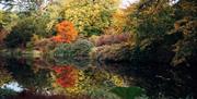 Autumn colours at Montalto