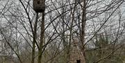 Willow, weaving, bird, birdpod