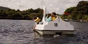 family on swan pedlos