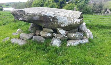 A large circular cairn located in a field overlooking Loughinisland Churches