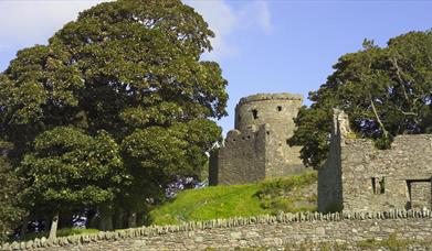 View from Dundrum Castle