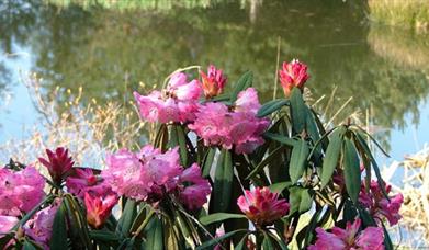 Timpany Nurseries and Gardens