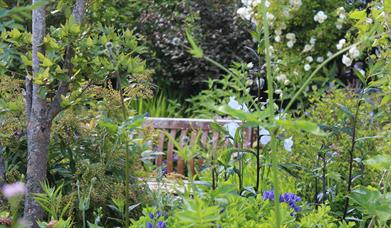 Beautiful greenery at 7 Mount Charles North Garden, with wooden bench to enjoy the surroundings.