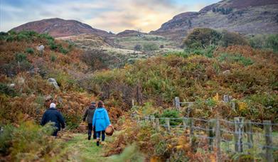 Ring of Gullion