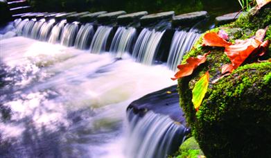 Shimna River, Newcastle