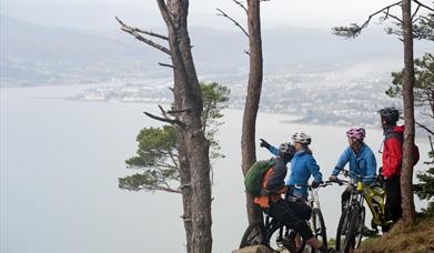 Group of mountain bikers enjoying the view from Kodak Corner at Rostrevor Mountain Bike Trail.
