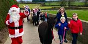 Help Santa train the alpacas by walking them