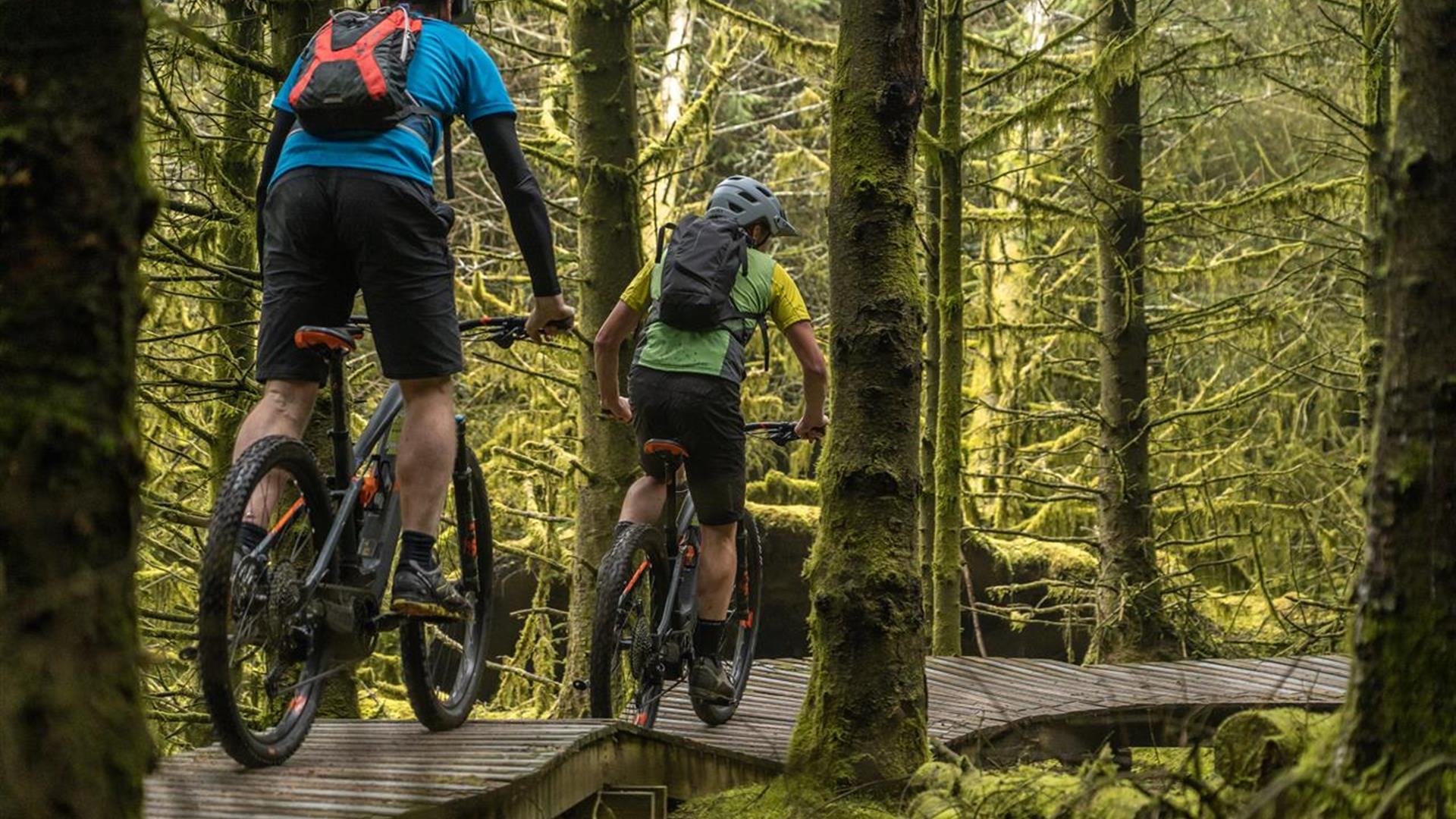 Electric Mountain Biking on the Rostrevor Red Trail – Bike Mourne