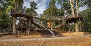 A photograph of Montalto Estate wooden tree house towering ahead of you. This spectacular tree house was hand-built to a bespoke design on Montalto Es