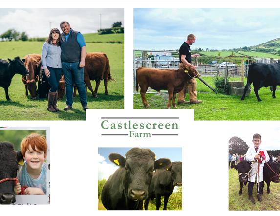 Castlescreen Farm