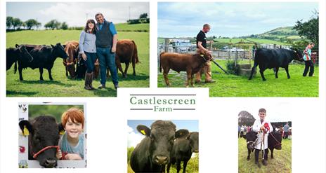 Castlescreen Farm