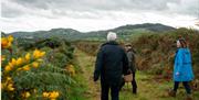 Foraging with Brian from Mountain Ways Ireland