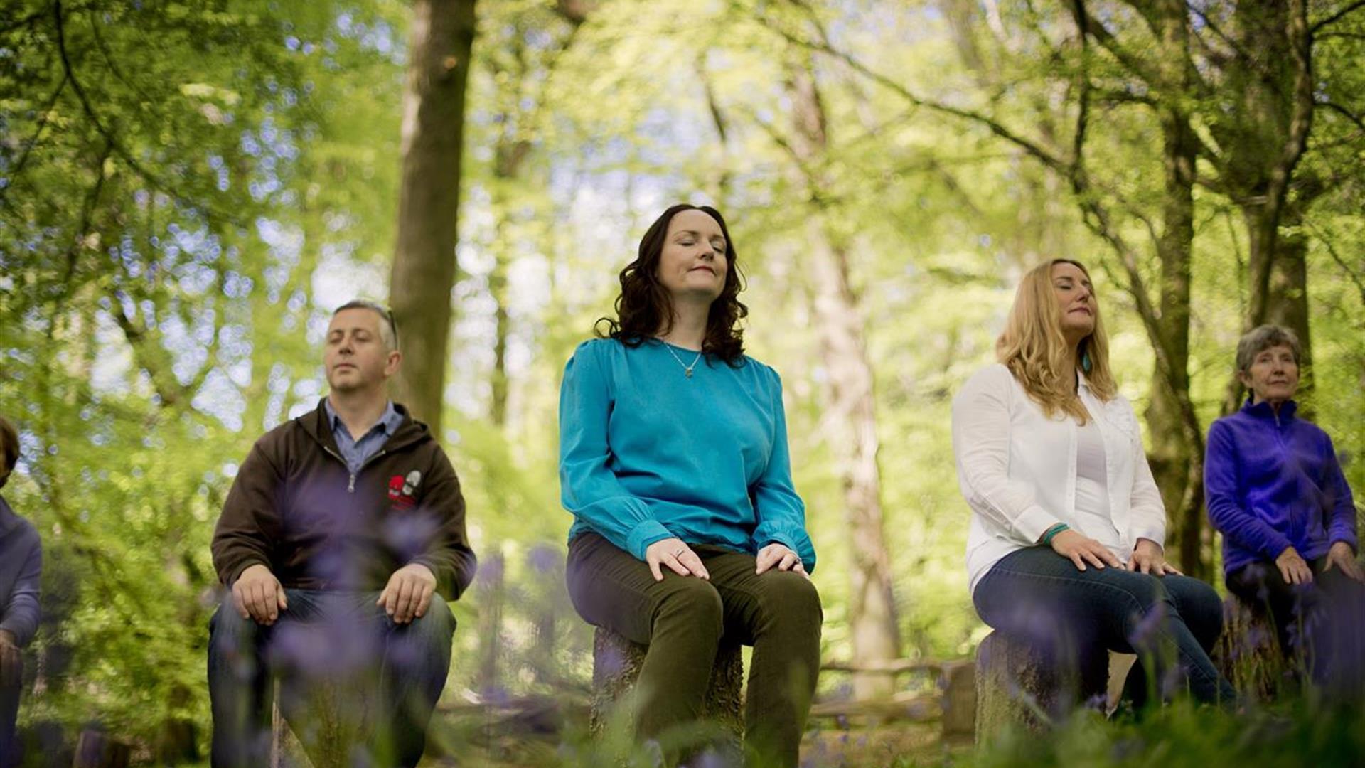 Four attendees to Xhale Mindfulness meditating in the forest.