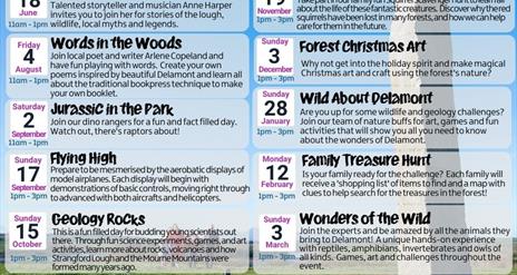Forest Activities at Delamont Country Park