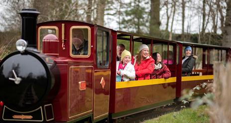 Miniature train in Delamont Country Park with people
