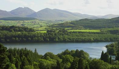 View of Castlewellan Forest Park