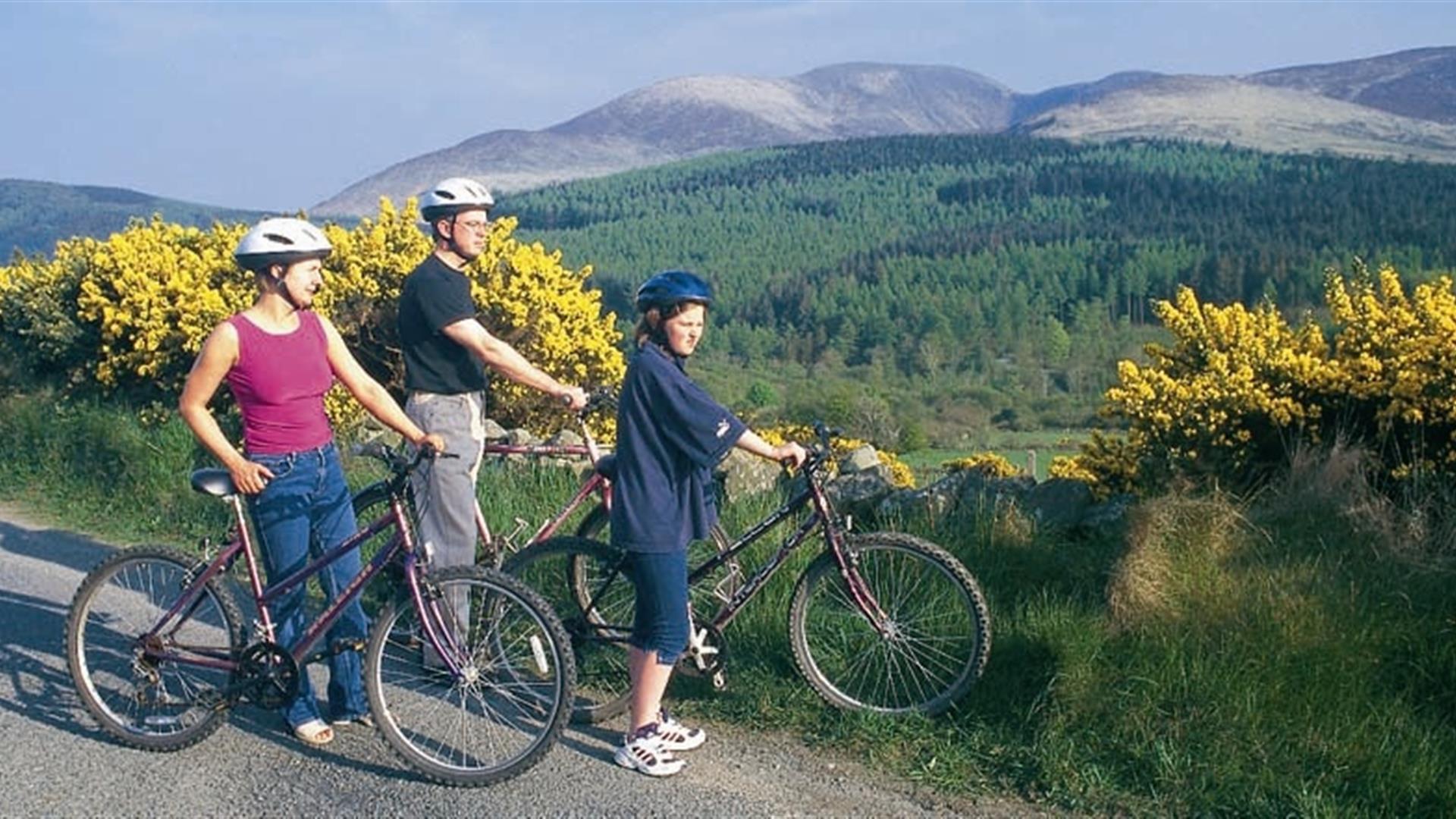 Rostrevor Cycle Route