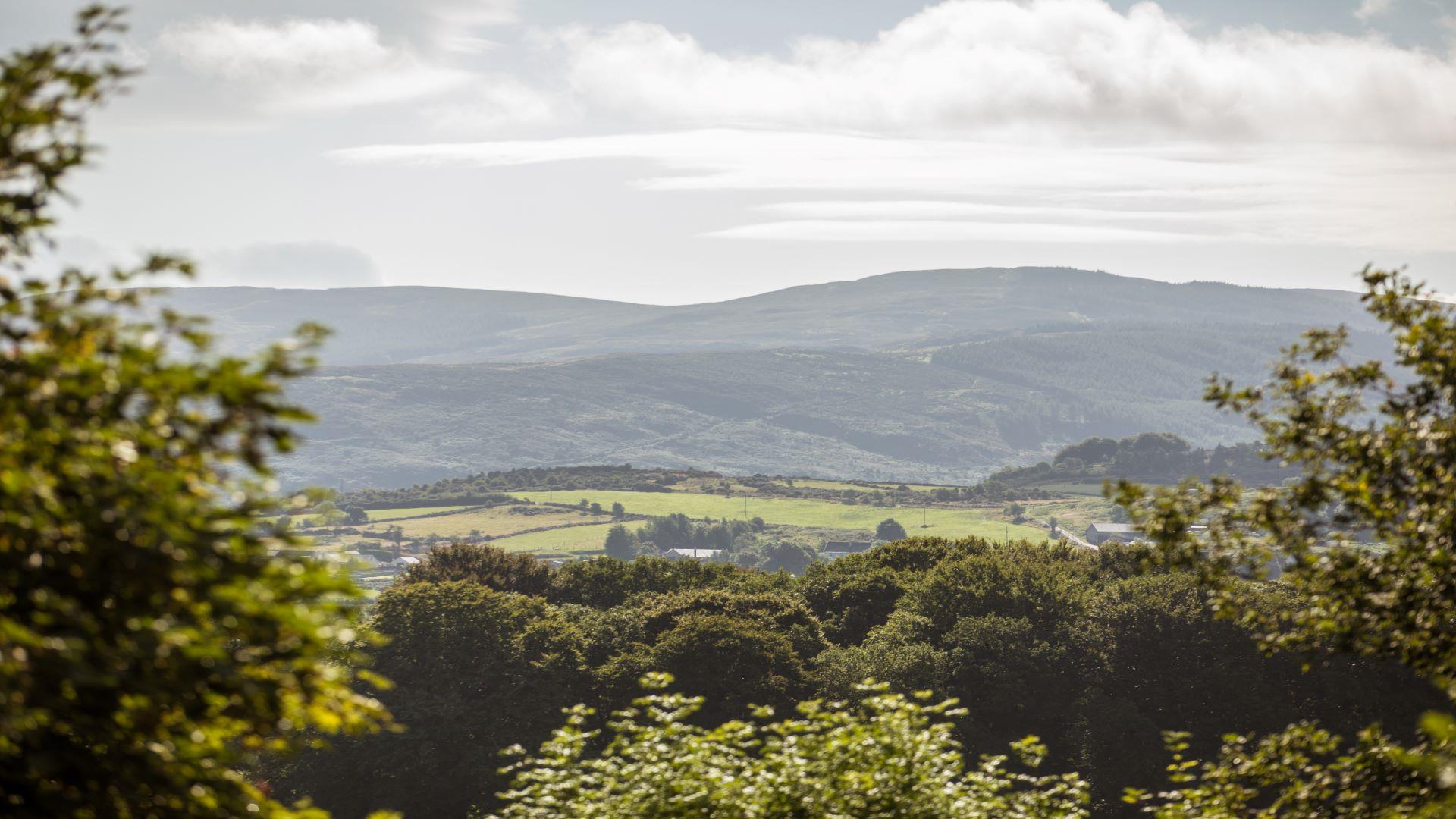 Mountain Views from Slieve Gullion Forest Park