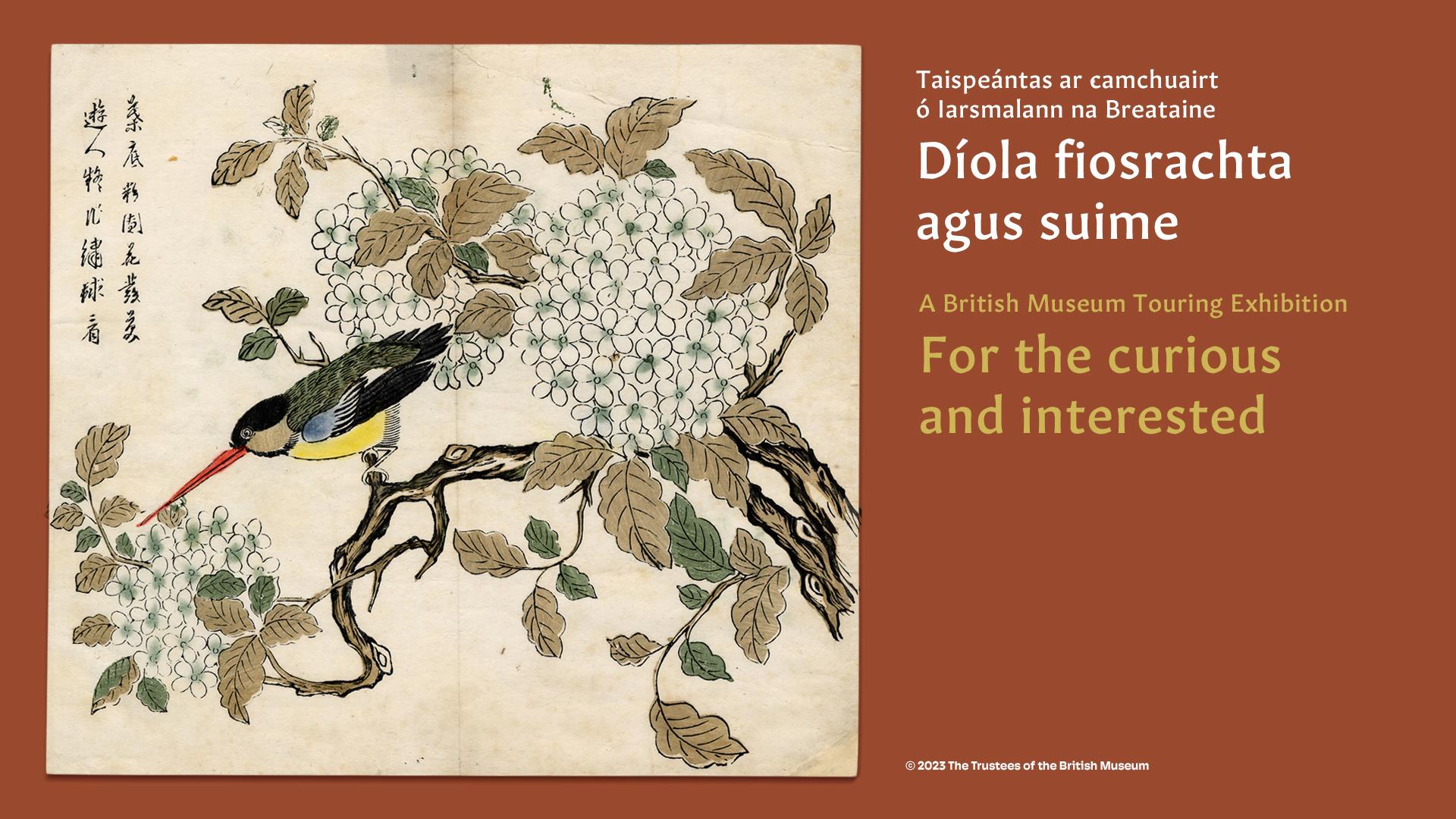 Exhibition banner image featuring a woodblock print of  a multicoloured small bird on a flowery branch.