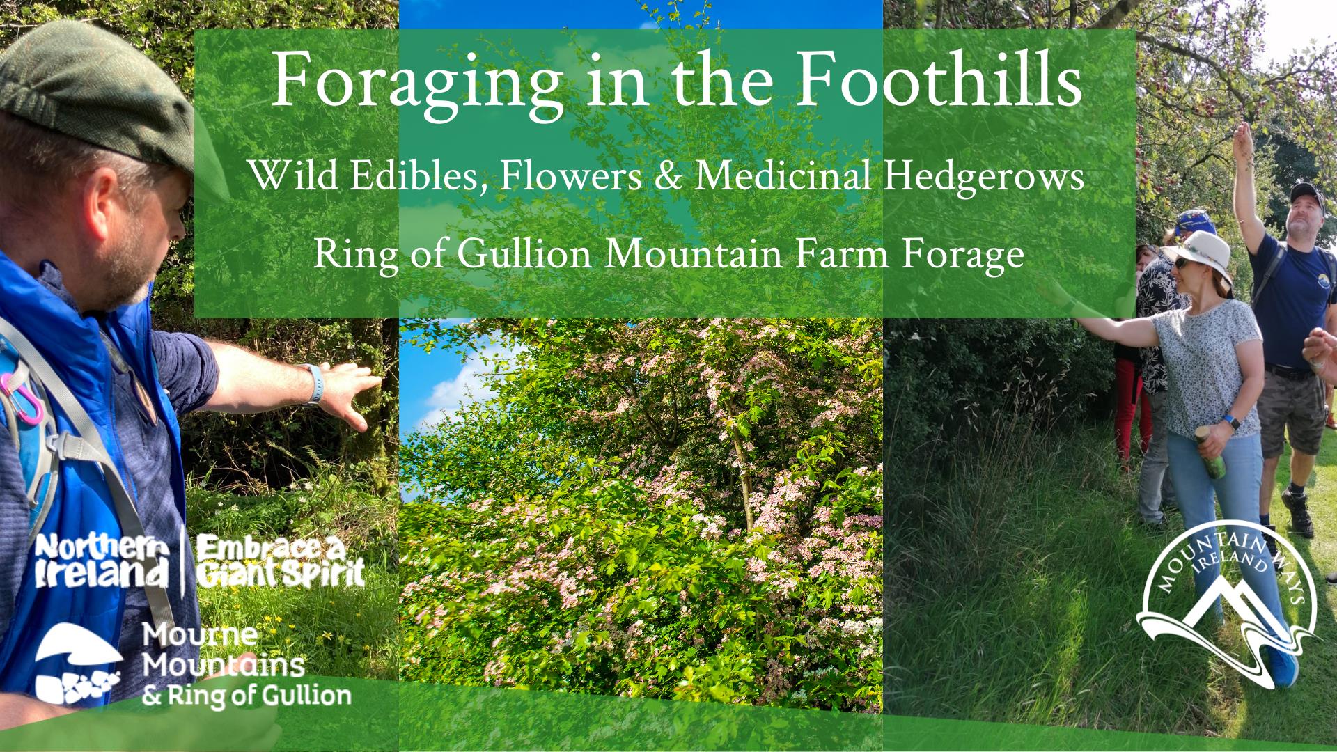 Foraging in the Foothills Banner
