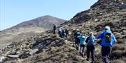 On the right trail, Mourne Mountains