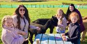 Meet & Mingling with the alpacas at the picnic table