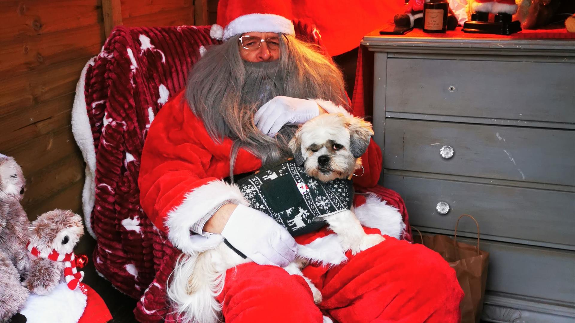 dog on santa's lap, Ballynahinch County Down