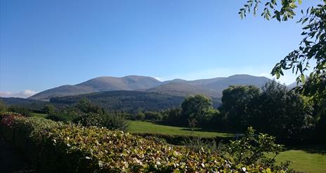 View from Kilcoo to Mourne Mountains