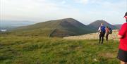 Mourne Wall 2 Day