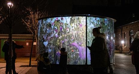 'Night Garden' art installation by Stellar