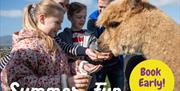 Cranfield Alpacas Meet & Mingle