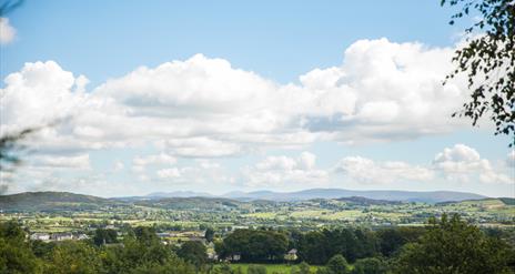 View from Gullion