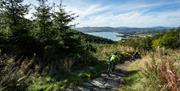 Rostrevor Mountain Bike Trail