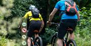 Electric Mountain Biking Castlewellan Forest Park