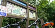Electric Mountain Biking Castlewellan Mountain Bike Trails