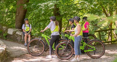 Tollymore Forest E-Bike Tour