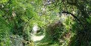 Sacred Site of Killeavy, Bealtaine Tour - path to Mum's seat