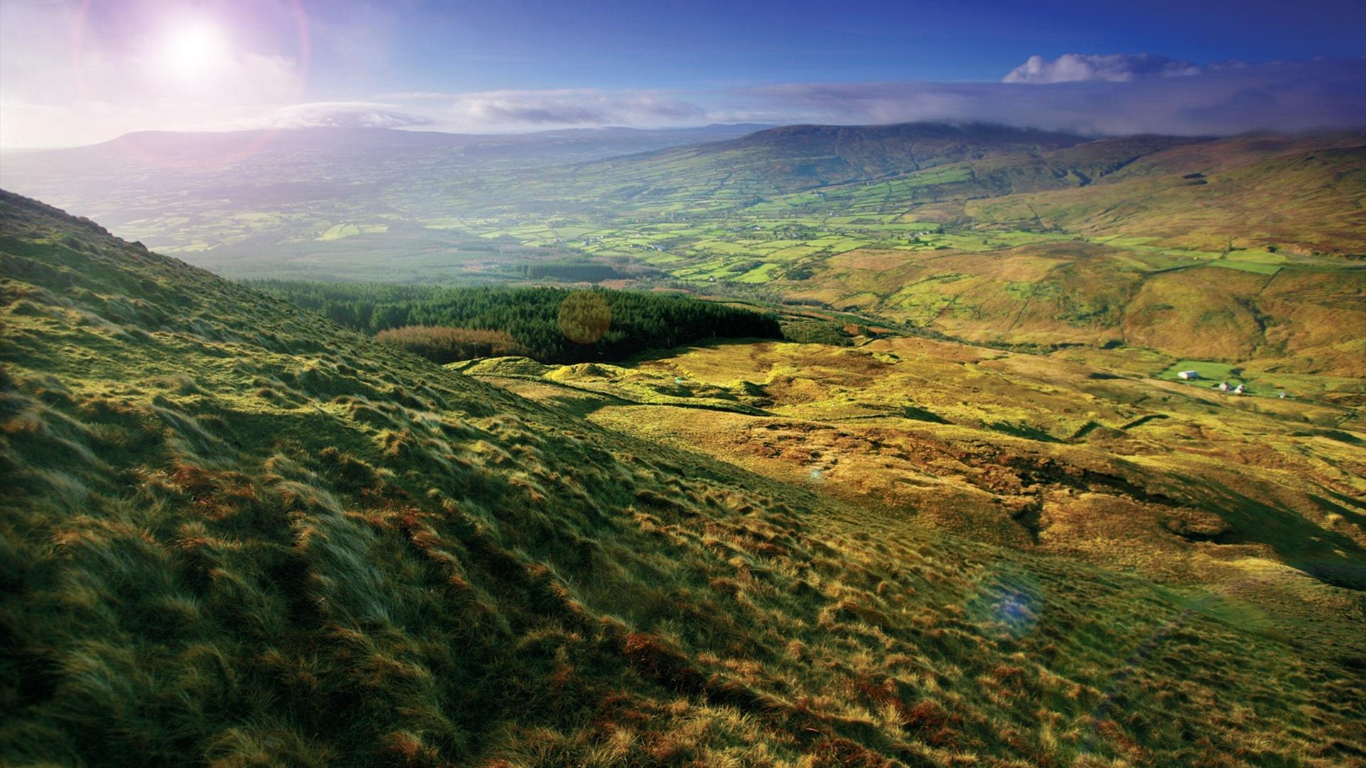 View from Slieve Gullion Forest Park