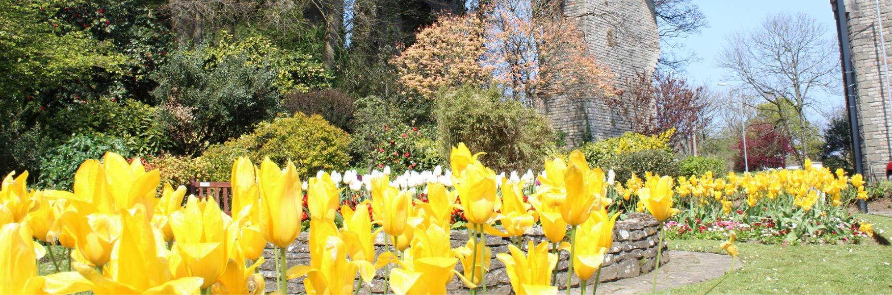 Trenance Gardens
