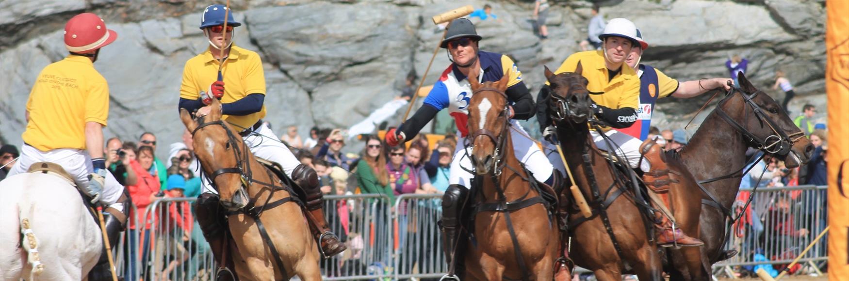 Polo on the Beach