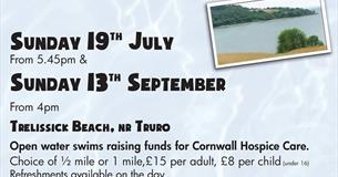 Swim poster